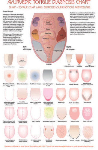 Ayurvedic Tongue chart