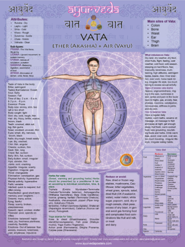 Vata poster extra large 18x24 inch