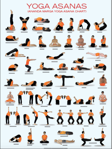 AM Yoga Asana Chart