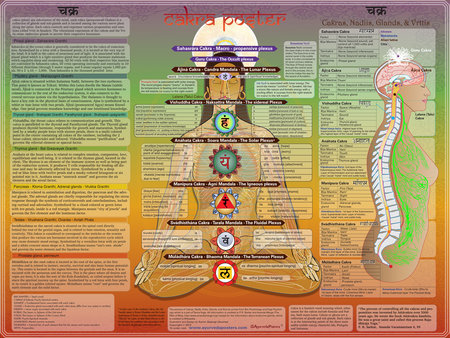 chakra poster giving details about vrttis, koshas, biija mantras,\\n\\n03/18/2015 7:38 PM