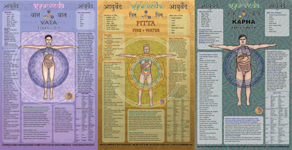 Dosha set medium vata, pitta, kapha chart package