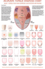 Ayurvedic Tongue chart