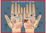 Ayurvedic Hand Reflexology Poster