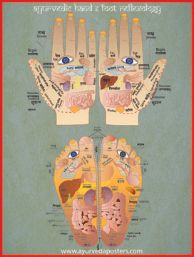 Hand and Foot Reflexology Poster