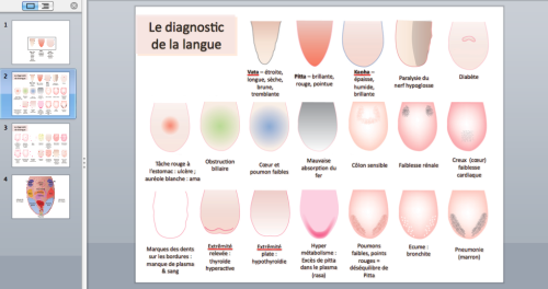 Tongue Diagnosis Power point in French