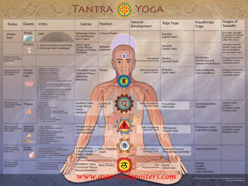 Tantra Yoga Poster