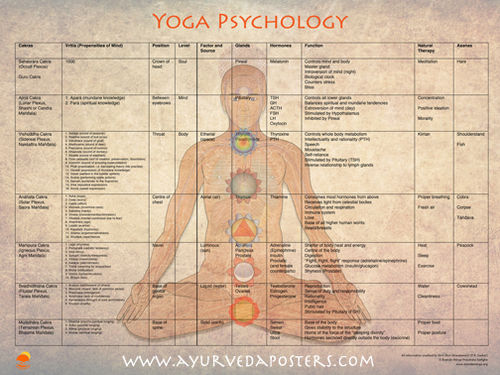 Yoga Psycology