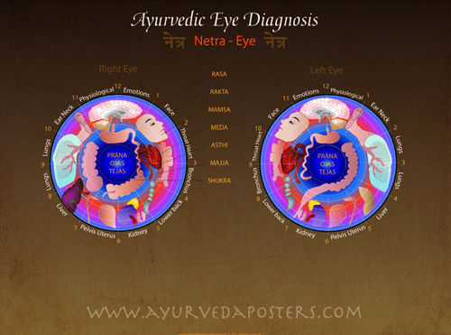 Eye Diagnosis Iridology Poster 18x24