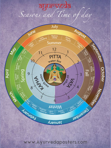 Ayurvedic Dosha Clock and Seasons