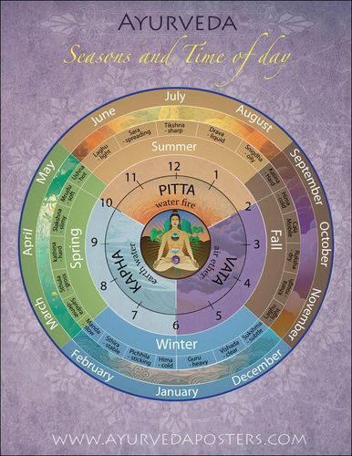 Ayurvedic Dosha Clock and Seasons