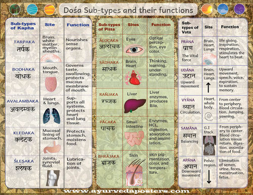 Dosha Sub type chart
