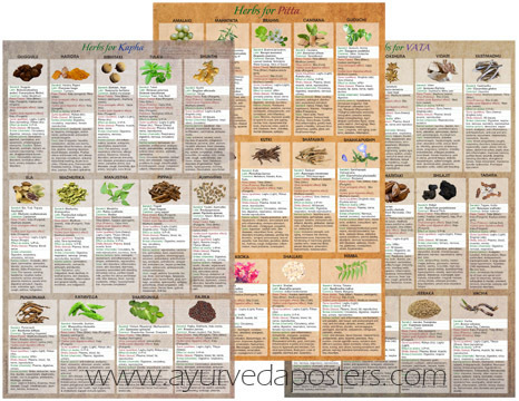 Dosha Herbology set 11x17