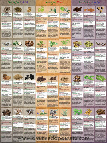 Herbology dosha