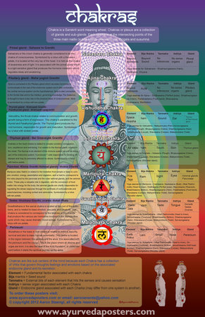 chakra poster with asanas for each chakra\\n\\n3/18/2015 7:57 PM