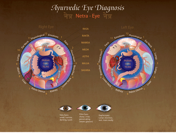 Eye_diagnosis_web